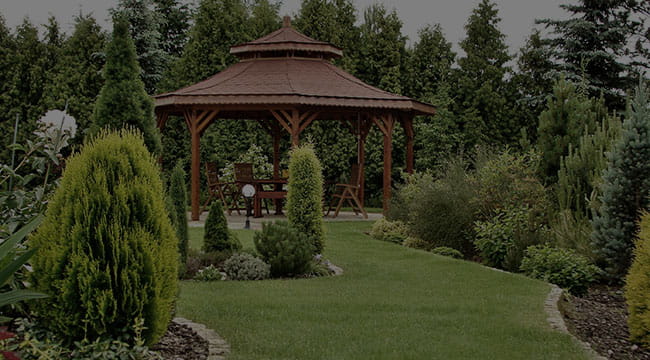 Springfield Garden Design