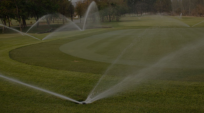 Springfield Irrigation