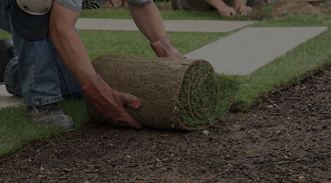 Springfield Lawn Care
